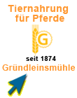 Gründleinsmühle