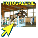 Unsere Fotogalerie